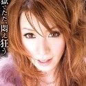 星アンジェの顔4