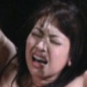 春咲美由