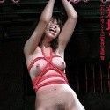 新垣さくらの顔2