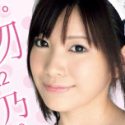 野乃